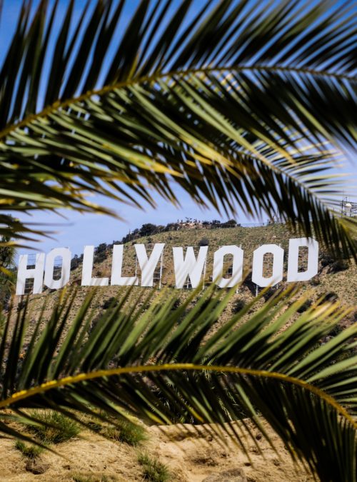 défilé de mode - boulevard hollywoodien bordé de palmiers